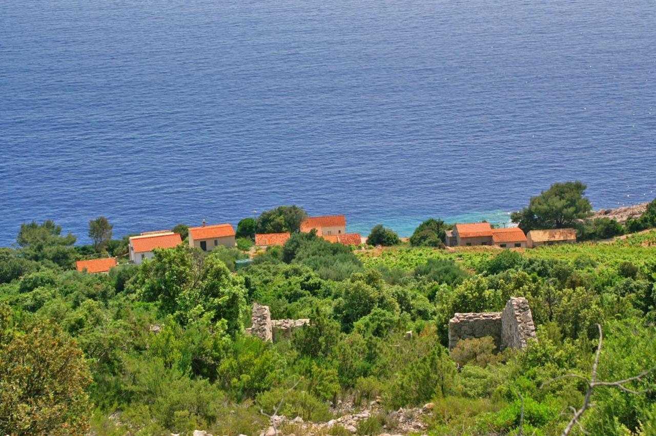 Apartments By The Sea Dingac - Potocine, Peljesac - 4533 Potomje Eksteriør bilde