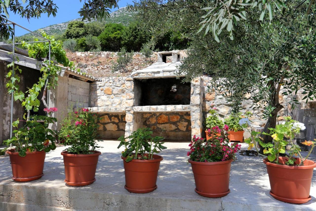 Apartments By The Sea Dingac - Potocine, Peljesac - 4533 Potomje Eksteriør bilde
